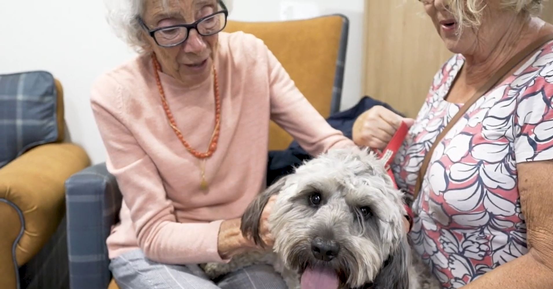 Introduction to Harrier Lodge Care Home