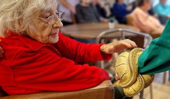 Framlingham care home residents shell-shocked by unusual visitors