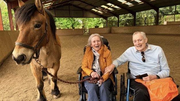 Fleet care home resident’s love of horses rekindled in heartwarming reunion