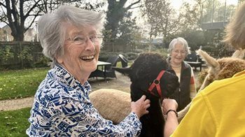 Weymouth care home welcomes cute companions