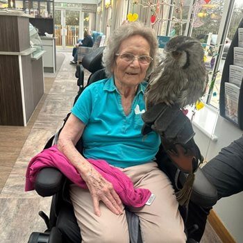 Birds of prey pay a soaring visit to Worcester care home
