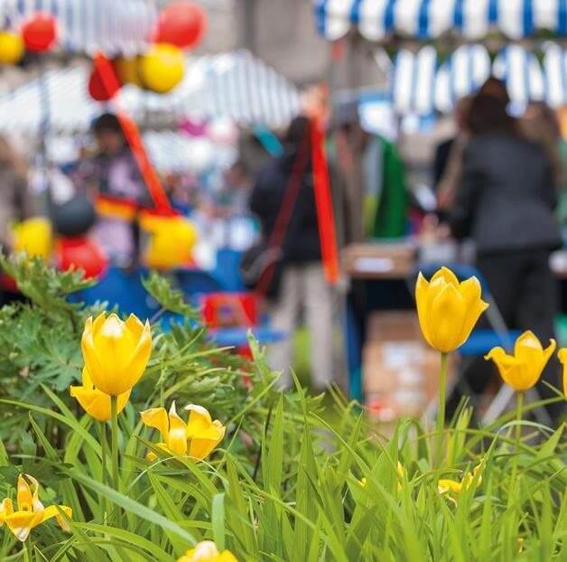 Summer Fair - free event at Rossendale House