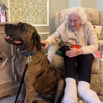 Whitstable care home residents join ‘cuddle club’