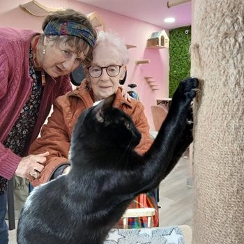 A purr-fect day for Newmarket care home resident