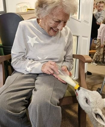 Animal visit a success at Haywards Heath care home