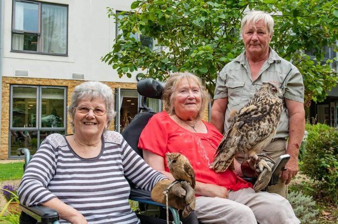 Rossetti House - Rossetti birds 