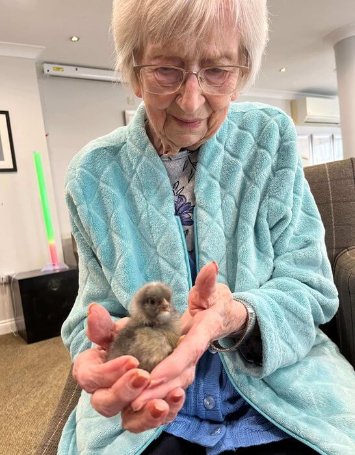 Care Assistant - Parker Meadows chicks 