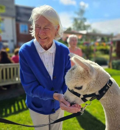 Receptionist Bank - Lonsdale Mews alpacas