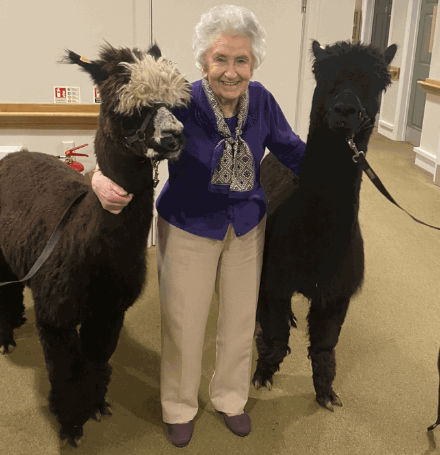 Team Leader Care - mercia grange alpaca visit 