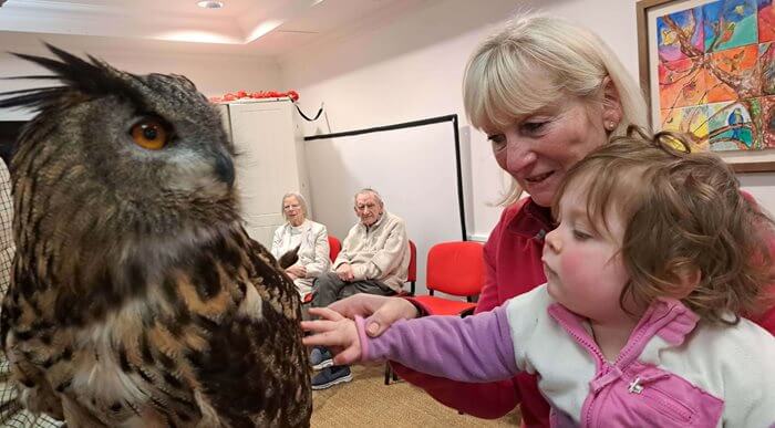 Housekeeper - Halecroft Grange Owls