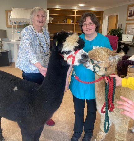 Receptionist Bank - rush hill mews alpaca visit 