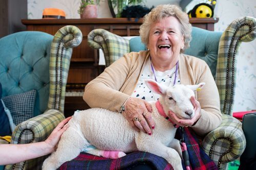 Receptionist Bank - farm animal visit