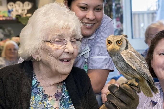 Housekeeping Assistant - dl-pear-tree-court-birds-of-prey-49-1 image