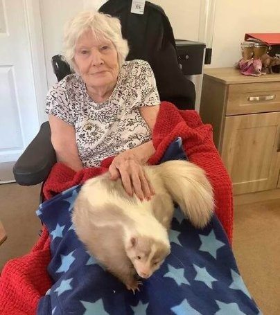 Care Assistant - Mill View animal visit