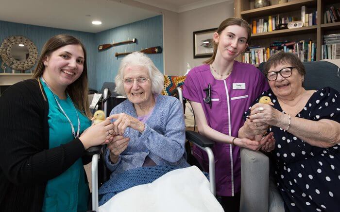 Registered General Nurse - Harrier Lodge ducklings 