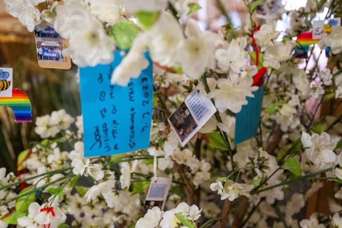 Registered General Nurse Bank - knebworth wishing tree