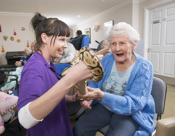 Night Care Assistant - cb-potteries-creatures-6_1 image