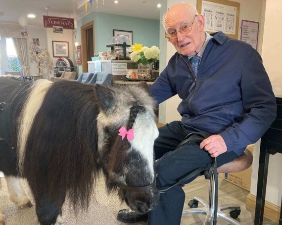 Millers Grange - Millers pony visits 