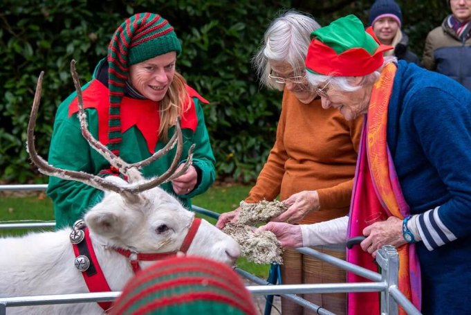 Care Assistant Bank - Sway Place Christmas 