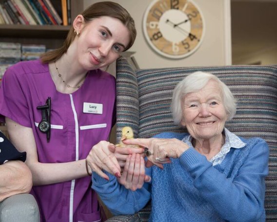 Registered General Nurse - Harrier Lodge ducklings 