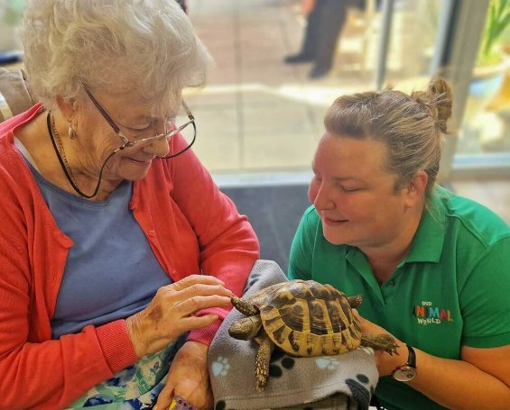 Team Leader - Mills Meadow animal visit turtle