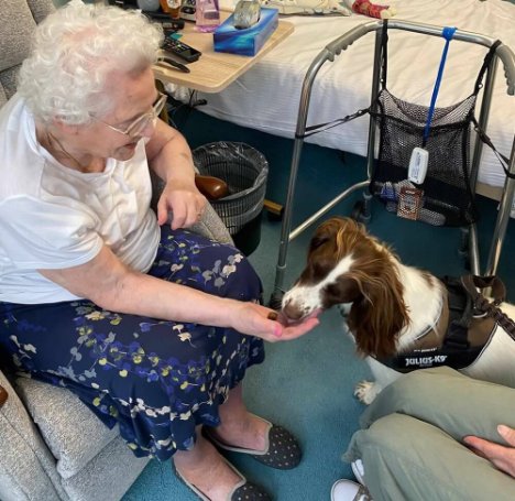 Team Leader Care - Murrayside animal visit