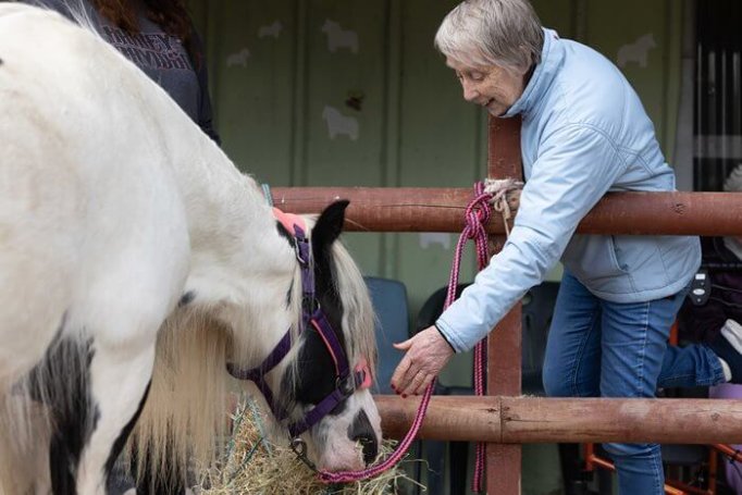 Activities Co-ordinator - Deewater Grange pony wish