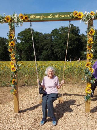 Domestic Bank - Glastonbury sunflowers 2