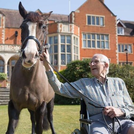 Milner House - Milner horse riding LLH