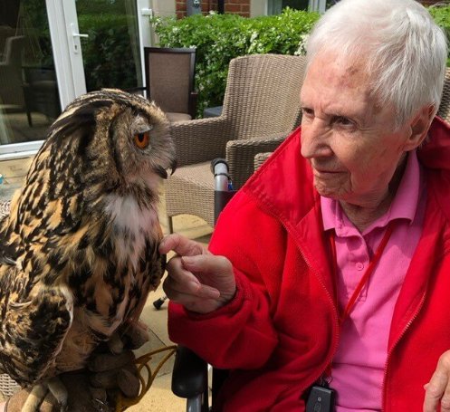 Maids Moreton Hall - Maids Moreton Owls