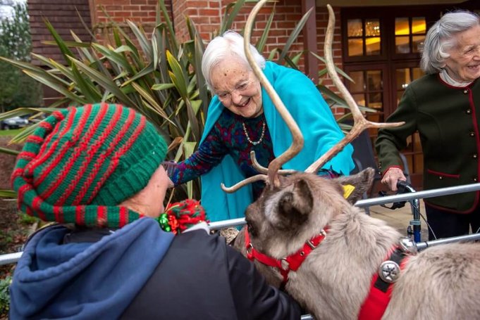 Care Assistant Bank - Sway Place Christmas 