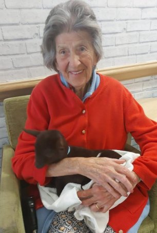 Care Assistant Bank - Glastonbury animal visit