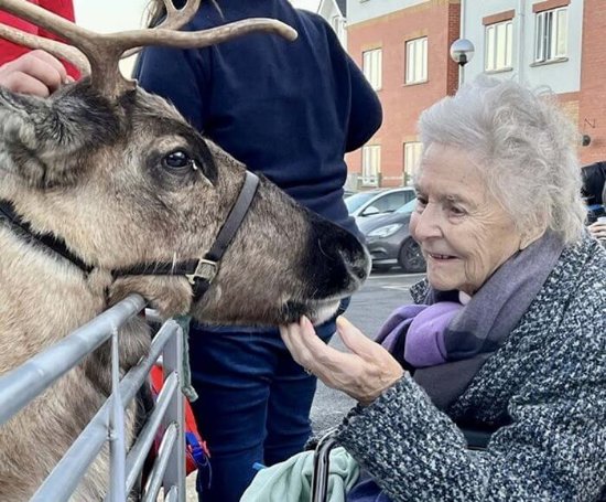 Priors House - Priors House reindeers 