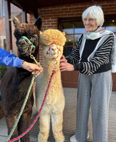 Team Leader Care Bank - sway place alpaca visit 