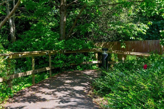 Woodland Hall - woodland garden 