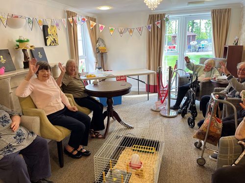 Senior Care Assistant - Kentford residents welcome chicks