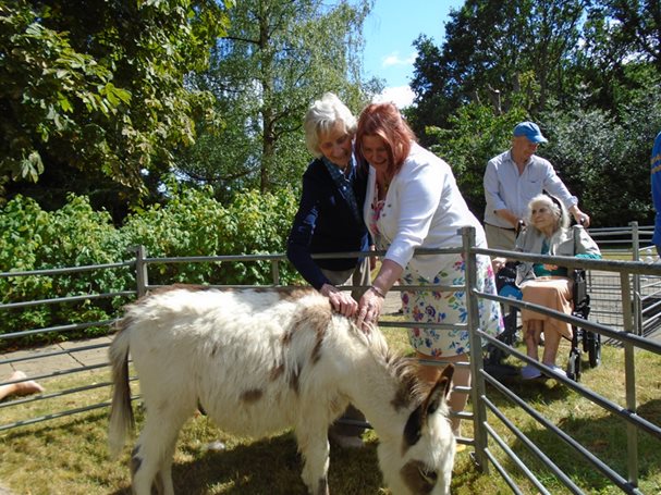 Laurel Dene - kathy-mary-and-donkey-1_0 image