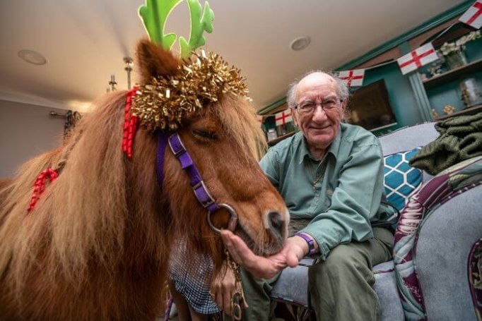 Heathlands House - Heathlands horse visit 