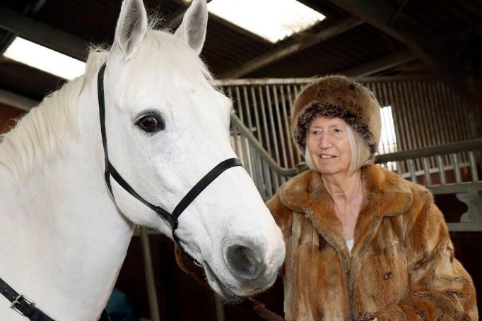 Team Leader Care Bank - Silversprings - horse and carriage wish 