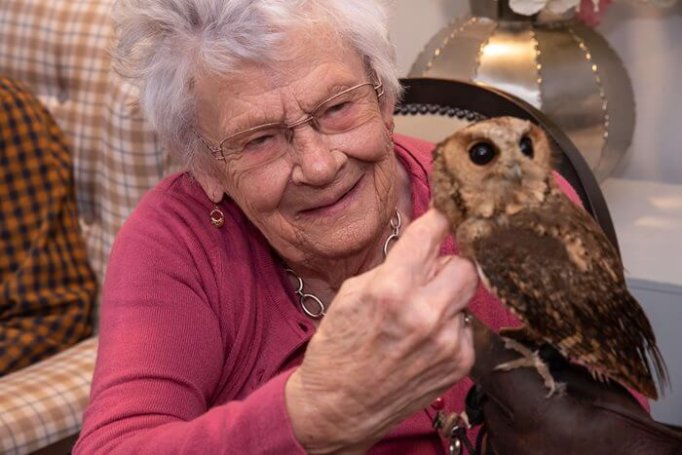 Anning House - Anning House owl visit