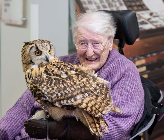 Care Assistant - perry manor birdwatch