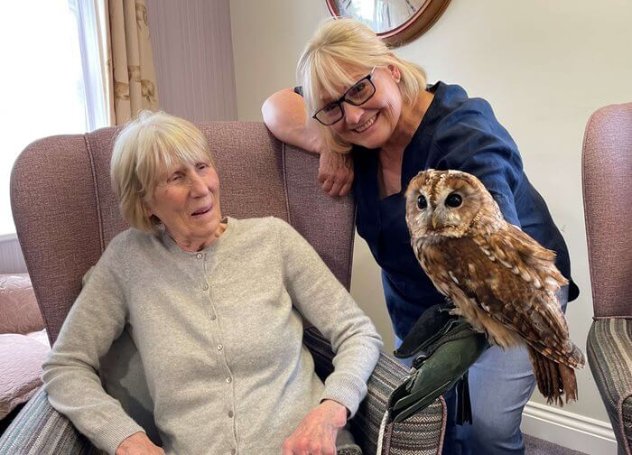 Care Assistant - Highmarket Owl visit