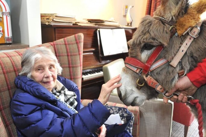 Cavell Court - lt-019-care-uk-cavell-donkey-pr-04_1 image