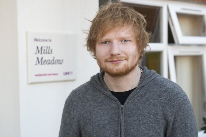 Domestic Bank - ed-sheeran-mills-meadow-gallery image