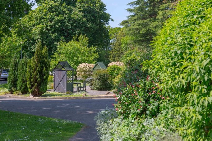 Woodland Hall - woodland garden 