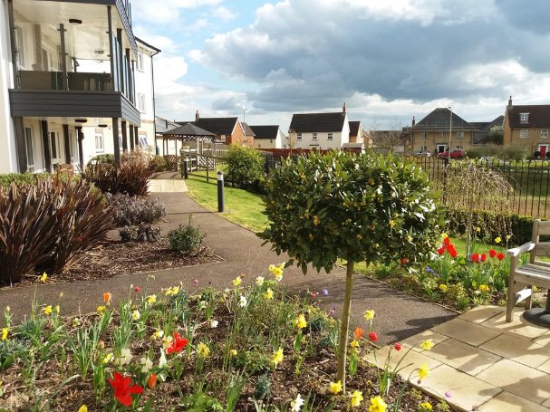 Team Leader Care Days - cedrus-garden-low-res_1 image