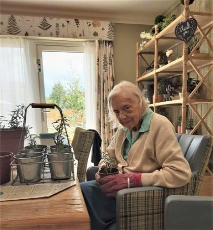 Care Assistant Nights - potting-room image