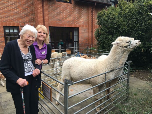 Care Assistant - 01-mill-cottage-farm-experiance-visits-larkland-house-resident-barbara-sexton-with-annie-harcup imag