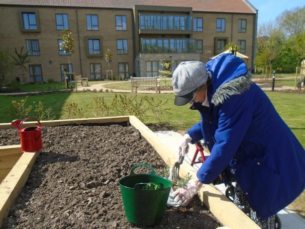 Team Leader Care Nights - 13invicta-gardening-3 image