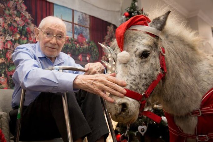 Care Assistant - Amherst reindeers 